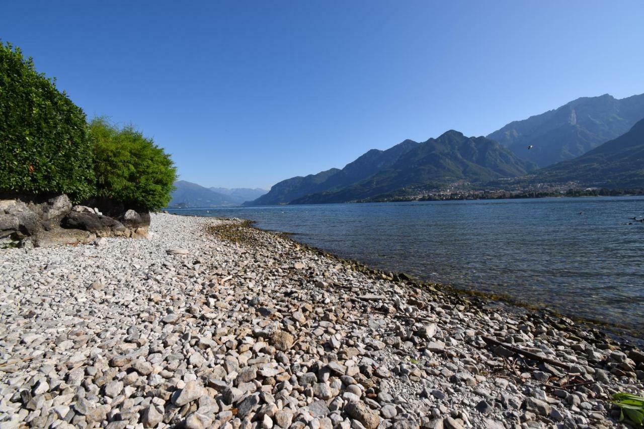 Villa Mimosa Bellagio Wild Flowers Oliveto Lario ภายนอก รูปภาพ